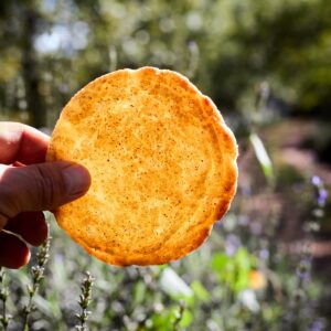 Snickerdoodle Cookies (one dozen)